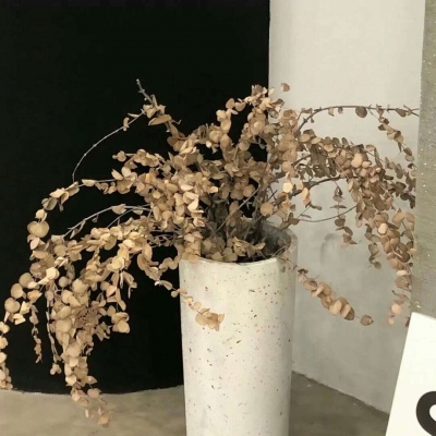 Furry兽设设计实用干货Furry群